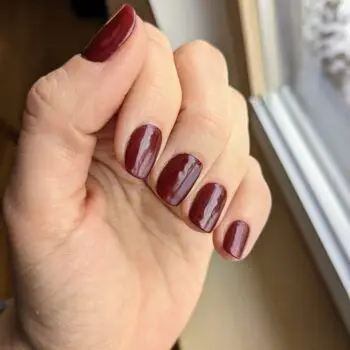 Geellakikleebiste stardikas photo review