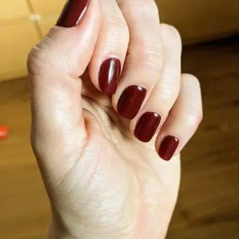 Geellakikleebiste stardikas photo review