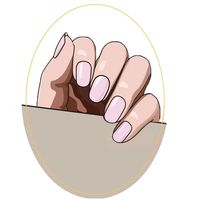 Angelica - Image 3