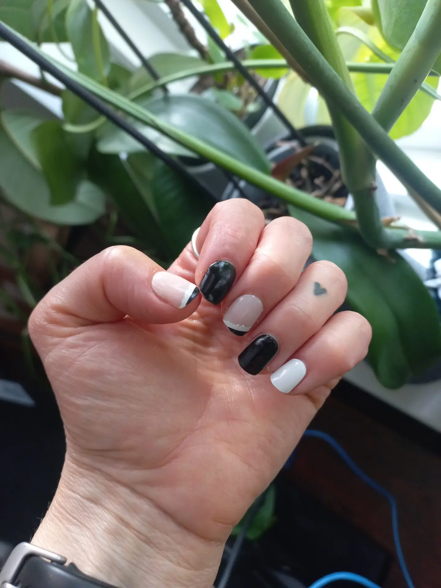 Click to view full screen Elsie photo review